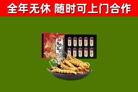 三明市回收冬虫夏草价格