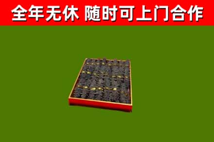 三明市回收海参